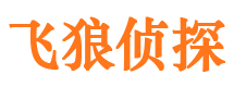 和林格尔市侦探